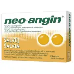 146_NEO-ANGIN SALVEJ PAST.24 KS